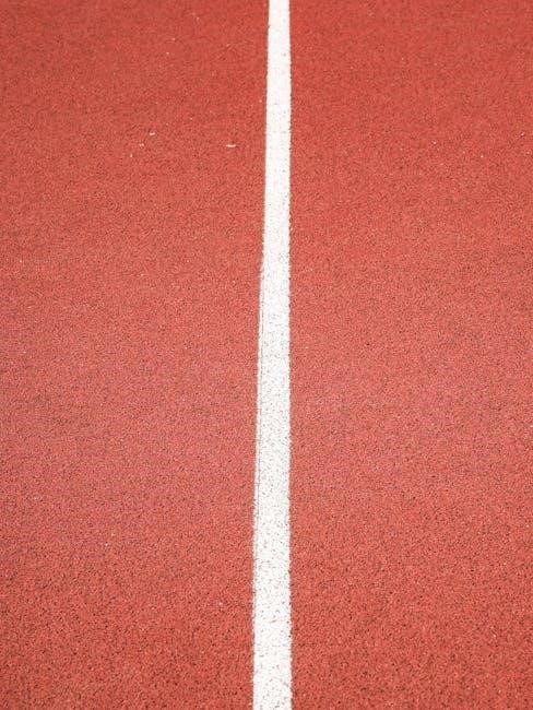 nys track and field qualifying standards 2024 pdf