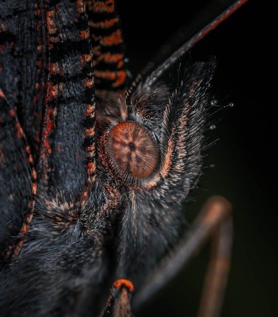 the compound effect pdf