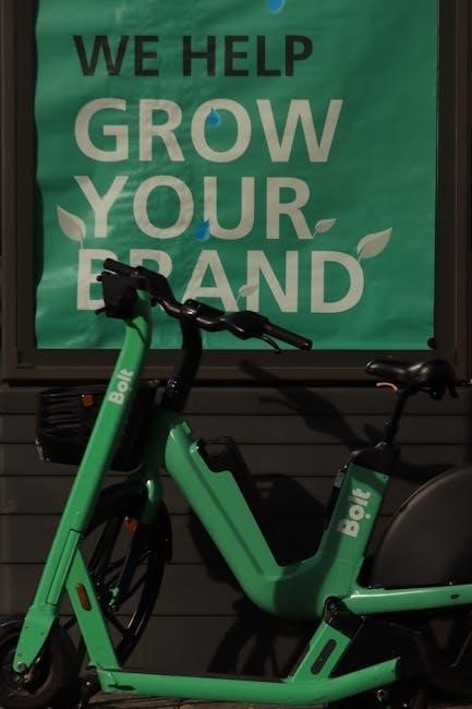 mobility scooter manuals download