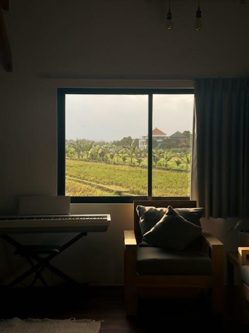 decor rice cooker instructions pdf