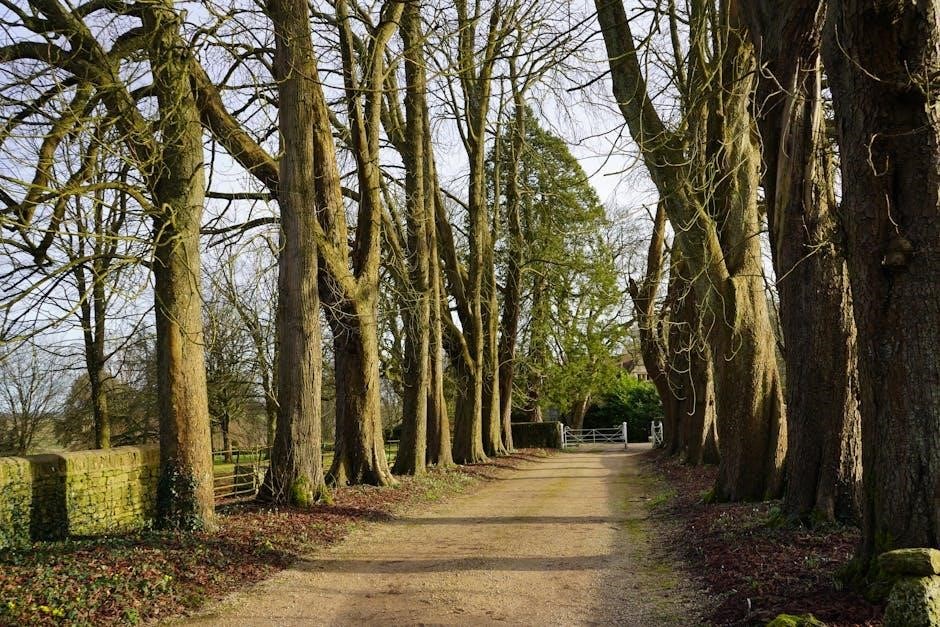 japji sahib path english pdf