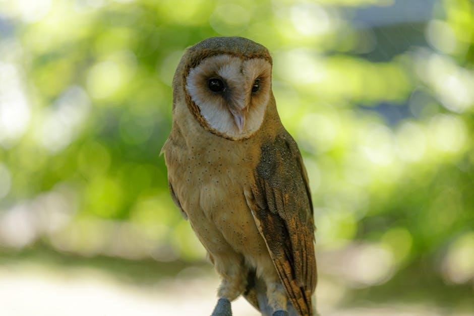 la biblia en orden cronológico pdf