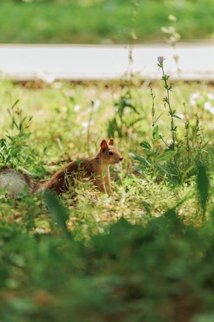 graco triride 3 in 1 manual